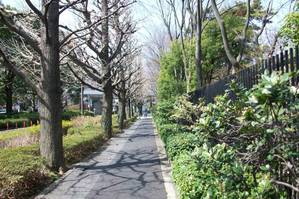 白金台　庭園美術館付近