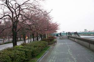 隅田公園