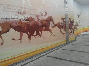 競馬対決