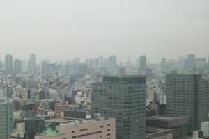 東京タワー　西尾努司法書士事務所