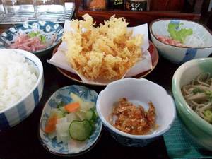 桜エビ定食