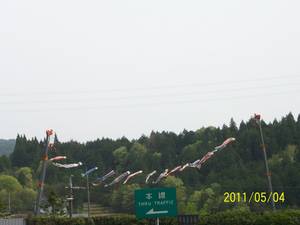 高速道路の鯉のぼり
