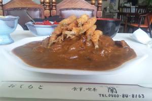 わかさぎカレー