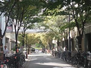 目黒区で会社設立