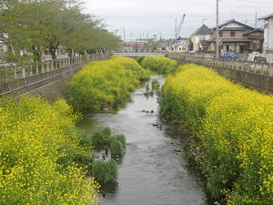 市川支局から市川大野駅へ