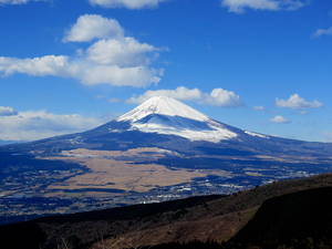 富士山の日に会社設立