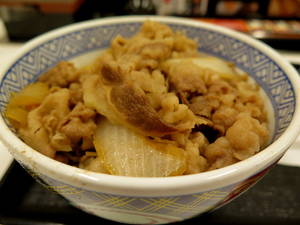 牛肉120％牛丼の並